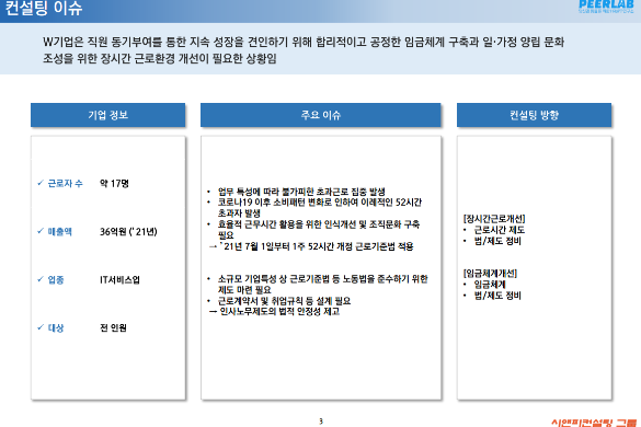 [일터혁신컨설팅]IT서비스업의 임금체계개선,장시간근로개선 컨설팅 사례